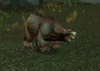Giant Grizzled Bear