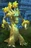 Treant.jpg