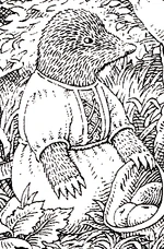 Arula2.PNG