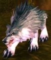 Young Wolf.jpg