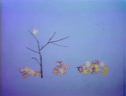 Lastleaf