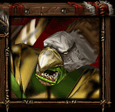 Wyvernriderportrait