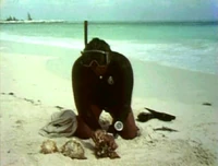 Film.Countingshells.jpg