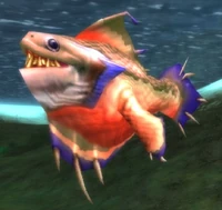 Image of Northern Barbfish