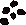 Watermelon seed 5