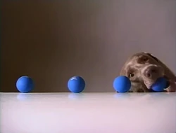 Fay.4balls