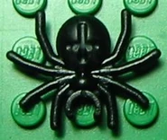 Spider black