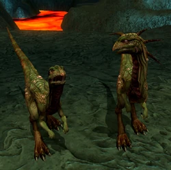Two blistmok scavengers on Mustafar