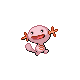Wooper Pt variocolor hembra
