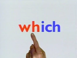 Which