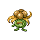 Gloom Pt variocolor hembra