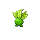 Oddish Pt variocolor
