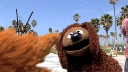 Virmup fozzie