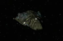 Turei vessel.jpg