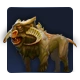 Forum 12.png