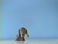 FayRay.head