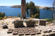 Adobe brick