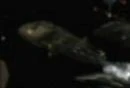 Abaddon's ship pieces 5.jpg (2 KB) Abaddon's ship pieces 5