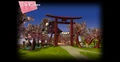 ZenGarden.jpg