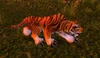 Stranglethorn Tiger