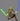 Kit Fisto TCWLD.jpg