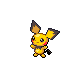 Pichu Pt variocolor