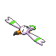 Wingull Pt variocolor