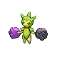 Roselia Pt variocolor