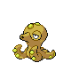 Octillery Pt variocolor hembra