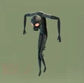 Mantis.jpg