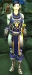 Allerian Defender