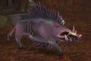 Plagued Swine