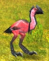 Mazzranache.jpg