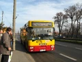 732 4776.JPG