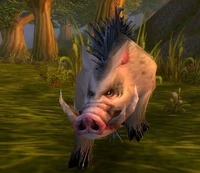 Rockhide Boar