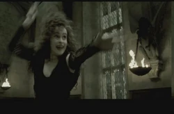 Bellatrix dueling