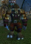 Kon Yelloweyes