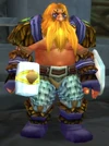 Wildhammer Sentry