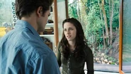 Twilight (film) 46