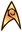 USS Enterprise operations assignment insignia.