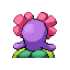 Bellossom espalda G3 variocolor