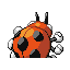 Ledyba espalda G3