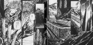 Artbook24