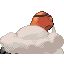 Torkoal espalda G3