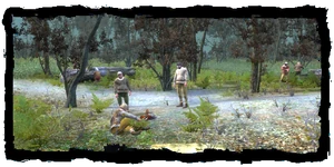 Places Lumberjacks glade
