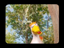 CrossedEyeDuck