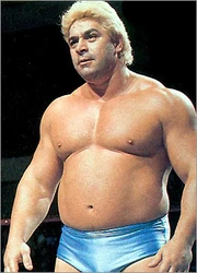 Dino-Bravo