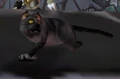 Zena.jpg