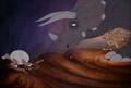 Cera, hatching.jpg