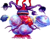 Barinade